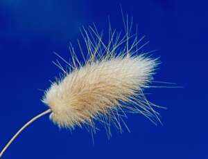 Read more about the article Dr Phil Smith Wildlife Notes: July