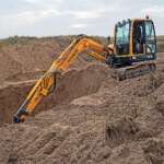 Ravenmeols Dunes, Rosa rugosa removal (Dr Phil Smith)