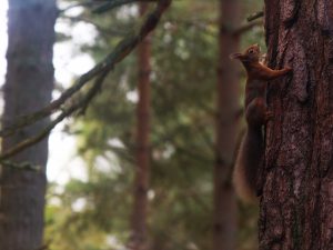 Read more about the article Welcome to the 6th Annual Merseyside BioBank Winter Newsletter!