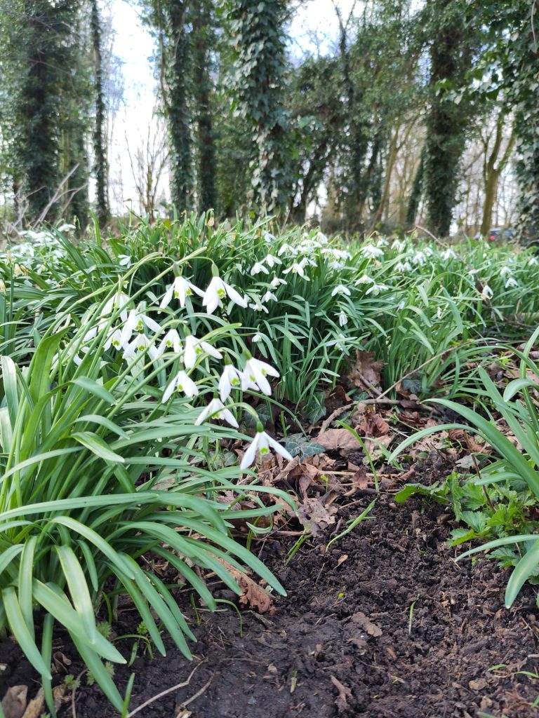 Read more about the article February e-bulletin