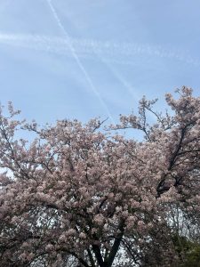 Read more about the article March e-bulletin